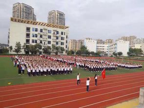 简阳市解放九年义务教育学校建队70周年主题队日活动