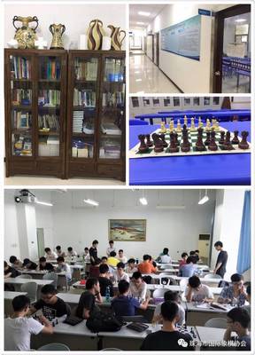 珠海市国际象棋协会倾情助力，义务辅导队重振广东队