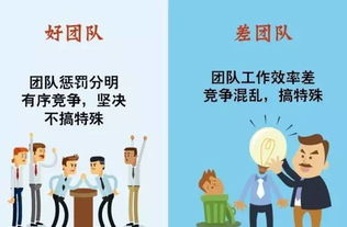 一图秒懂 好团队与差团队的差距，义务辅导队如何炼成卓越？